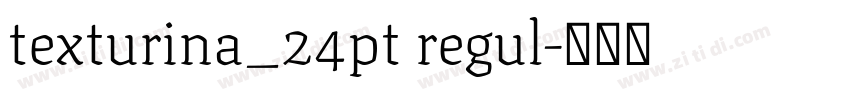 texturina_24pt regul字体转换 texturina_24pt regul字体转换